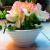 Factory sells Y23 series thread bowl porcelain proof flowerpot