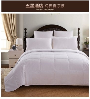 Chenglong hotel supplies hotel rooms bedding hotel air conditioning by summer cool by cotton washable it core