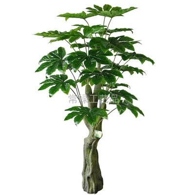 Artificial plants feel ancient Fatsia japonica tree artificial tree crafts