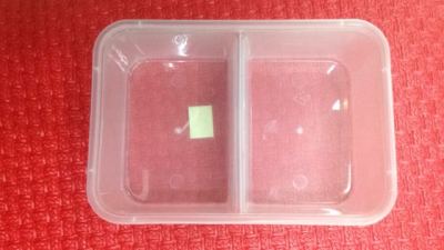 Two-Compartment Lunch Box