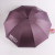 3 folding check edge pongee fiber advertising umbrella