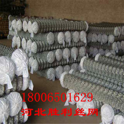 chain link netting/chain link fence/iron wire netting/wire fencing/basketball  mesh/guarantee market lowest price