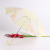 EVA straight printing rain sun protection children's umbrella 