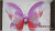 Silk Butterfly Wings