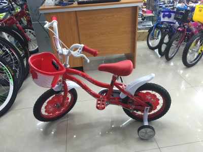 The Children 's bicycle