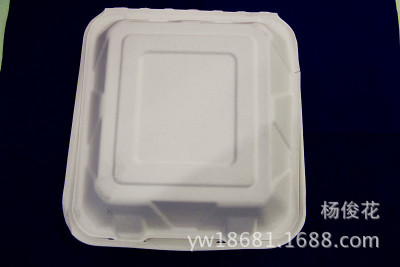 White sugar-cane fiber disposable lunch tray