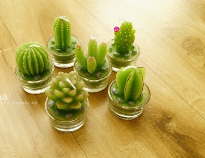 Green candle Cactus shape-Succulents shape candles