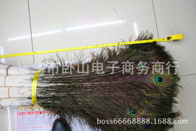Sun Feather Factory Direct Sales Natural Peacock Fur 90-100cm