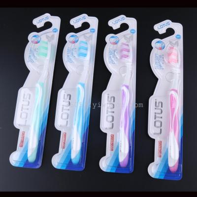 Toothbrush wear pointed hair 4 color toothbrush wholesale