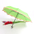 Watermelon season New fruit umbrella printing creative umbrella watermelon kiwi umbrella kiwi umbrella sunny umbrella