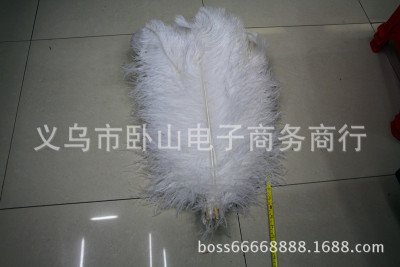 Sun feather factory direct sale of natural ostrich feather 65-70cm