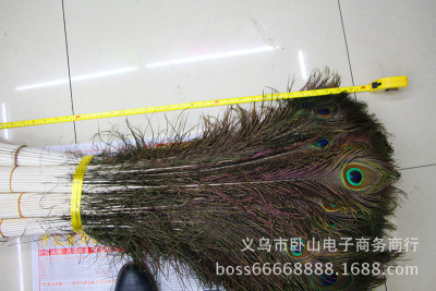 Sun feather factory direct sale of natural 80-90cm peacock hair