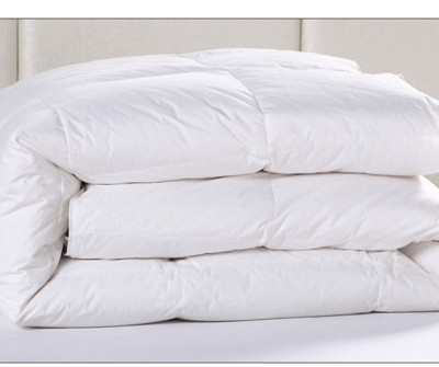 Zheng hao hotel supplies five-star hotel supplies duvet core thickened warm quilt