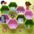 Hexagonal racks showcase box display storage rack idea number: 4028