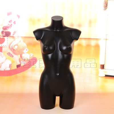 Wholesale bust factory direct models female models