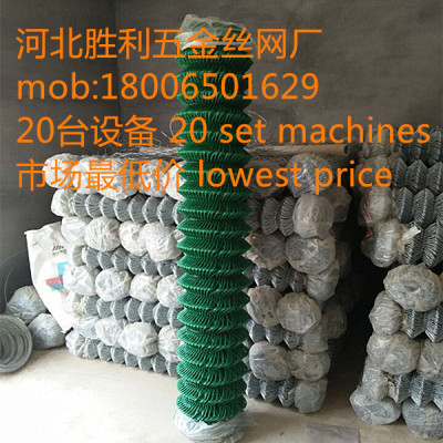 chain link netting/chain link fence/diamond fencing/basketball mesh/guarantee market lowest price/factory 20  machines 