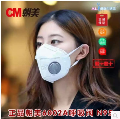 Beauty masks 6002A earloop and a breathing valve collapse dust mask N95 outdoor