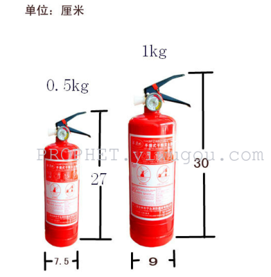 Essential for the annual inspection of dry powder fire extinguisher 0.5kg kg direct sales