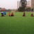 Specializing in the production of artificial turf artificial grass turf of football fake turf0266