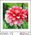 3D Micro Frame Painting Decorative Painting Clear Flower High-End Post-Modern Style 6060