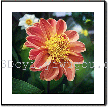 3D Micro Frame Painting 3D Painting Decorative Painting HD Flower 6060 Aluminum Alloy Frame