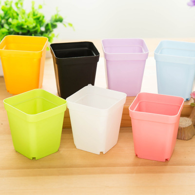 A mini colorful small flower pot plastic pot home desktop potted plant succulent with tray