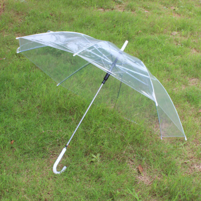 PVC transparent plain green straight umbrella foreign trade umbrella cheap stand umbrella spot