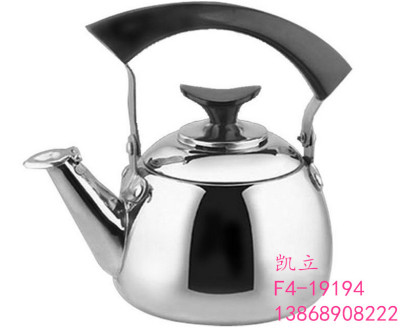 Stainless Steel Kettle Millennium Pot