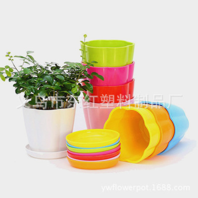 The factory supplies 4-size plum blossom Y03 series candy flowerpots
