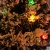 1.8 M Encryption High-Grade Snowflake Christmas Tree Fiber Colorful Falling Snow Tree Charged Luminous Tree