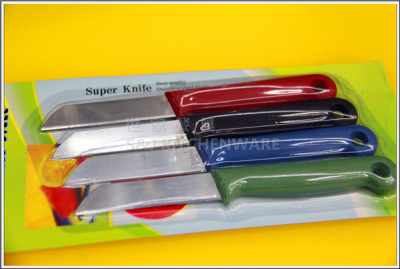 High - grade fruit knife, plastic handle card with stainless steel fruit knife