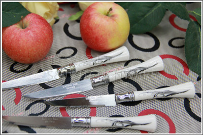 The new boxed 12PCS porcelain stamp handle fruit knife fruits and vegetables and multi function