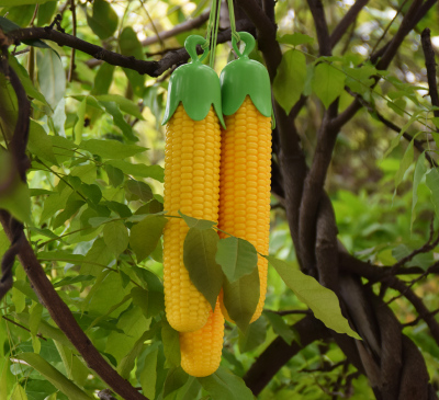 Creative fruits and vegetables umbrella umbrella