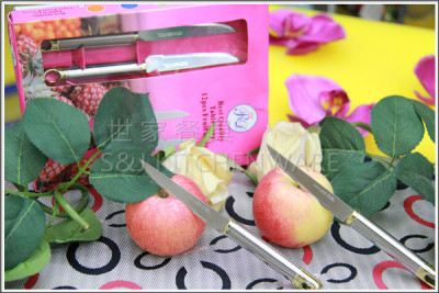 The new boxed 12PCS plastic imitation steel handle fruit knife and fork