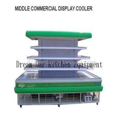 MIDDLE COMMERCIAL DISPLAY COOLER (can be customized size)