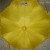 Cartoon Pattern Princess Umbrella Long Brush Holder Small Lace Umbrella with Waterproof Cover Children's Umbrella