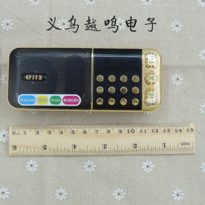 LFJTS954 Card mini speaker radio