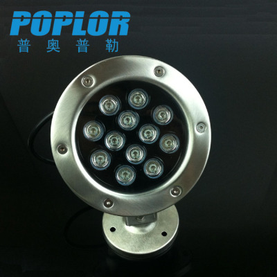 LED underwater lights /12W /  RGB colorful light / pond lamp /  AC 24V /underwater cast light / waterproof outdoor lamp 