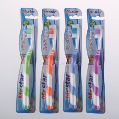 Factory direct selling new foreign trade 4 color toothbrush