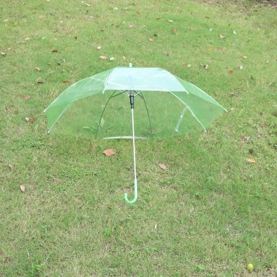 The Clear umbrella, green umbrella