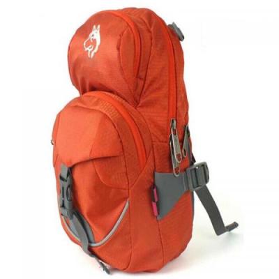 Outdoor backpack hiking riding mountaineering bag rain tear nylon