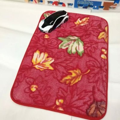 Coral Fleece Blanket Bedroom Wall-to-Wall Carpeting Bedside Carpet Living Room Coffee Table Carpet Toilet Floor Mat