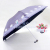 Korean version of the pencil umbrella 3-folding new upmarket fashion boutique hot sun umbrellas XF-803