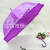 Hot new high qualified  lace Princess UV umbrellas beautiful Apollo umbrella XC-805