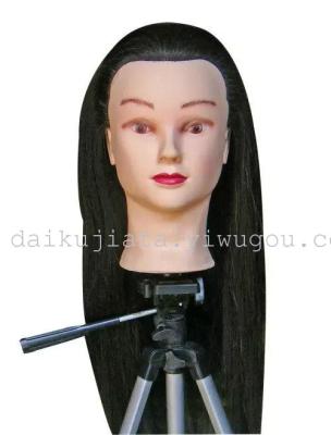 Student: Head model real hair practice Head model teaching Head doll Head full real hair 100% compatible Head model