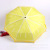  creative fruit umbrella watermelon kiwi lemon umbrella advertising promotional umbrella manufacturers direct sale