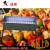 The Qashqai grill large outdoor domestic folding portable charcoal thickened barbecue oven BBQ