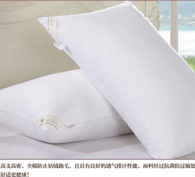 Zheng hao hotel supplies hotel pillow core competition down pillow core health care pillow