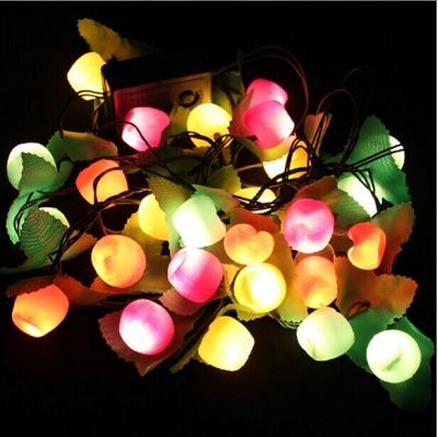 Christmas String fruit lights decorative lights and Apple lights