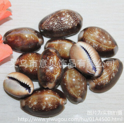 [YiBei Coral] Natural shell happy star shell single hole shell wholesale